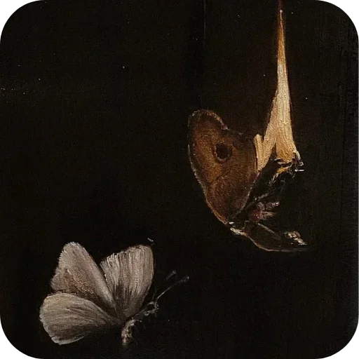 Телеграм стикер 🦋 @MEisDEAD 🫠 @SpectraStickers ᴀᴇsᴛʜᴇᴛɪᴄs