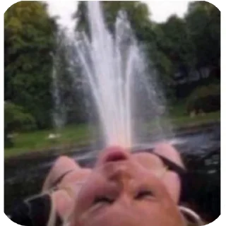 Telegram sticker 💦 Tt Memes Stk