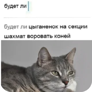 Telegram sticker 🐱 Register