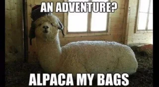 Telegram sticker 🤔 The last Kang of the Exiled