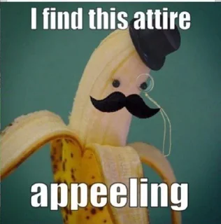 Telegram sticker 🤔 The last Kang of the Exiled