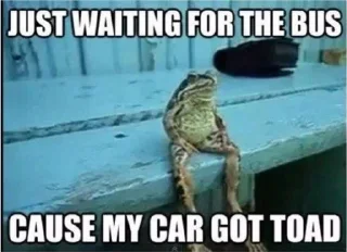 Video sticker 🤔 The last Kang of the Exiled