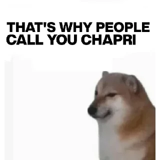 Video sticker 🤔 Video Favorite stickers :: @fStikBot