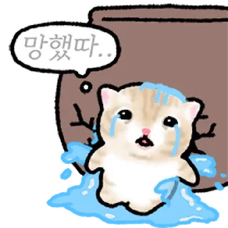 Телеграм стикер ⭐ 작아요 고먕이 @moe_sticker_bot