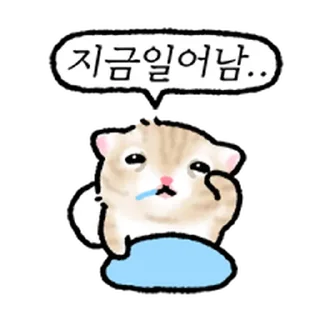 Телеграм стикер ⭐ 작아요 고먕이 @moe_sticker_bot