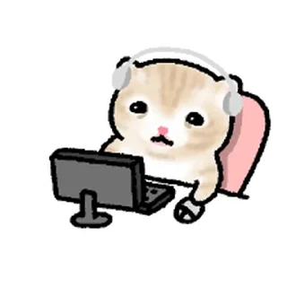 Телеграм стикер ⭐ 작아요 고먕이 @moe_sticker_bot