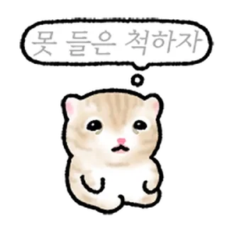 Video sticker ⭐ 작아요 고먕이 @moe_sticker_bot