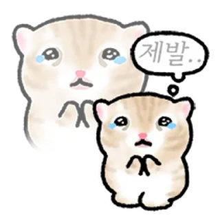 Video sticker ⭐ 작아요 고먕이 @moe_sticker_bot