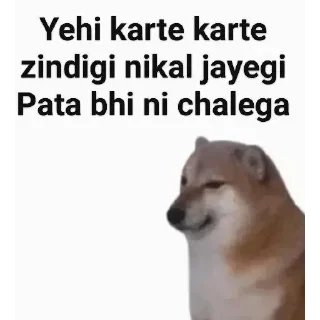 Video sticker 😶 𝐊𝐄𝐍么𝐊𝐀𝐍𝐄𝐊𝐈's kang pack