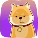 Video sticker 👀 Shiba Inu