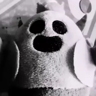 Video sticker 🌵 Crated By @zxcllm :: @fStikBot