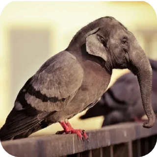 Sticker 🦣 @NormaIChannel | پرموت