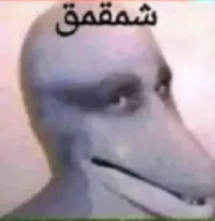 Telegram sticker 🦭 @NormaIChannel | پرموت