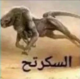 Video sticker 🦎 @NormaIChannel | پرموت