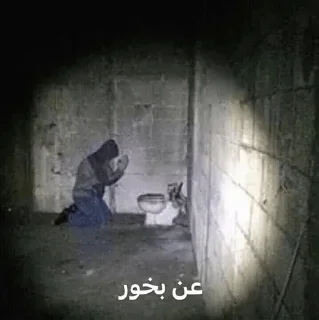 Video sticker 💀 @goats_meme خایه افکن۱
