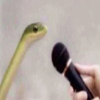 Telegram sticker 🐇 ٠ ꓚꓧ: @UcUcc . 🐇