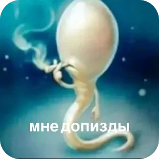 Telegram sticker 🖼 Стикеры лично для @JOKERS023