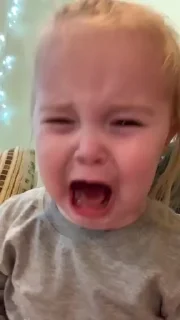 Video sticker 🦕 𝓑𝔂" @LollyGif|@LollySticker "🦕🫐