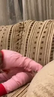 Video sticker 🦕 𝓑𝔂" @LollyGif|@LollySticker "🦕🫐