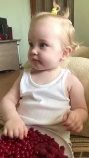 Video sticker 🦕 𝓑𝔂" @LollyGif|@LollySticker "🦕🫐