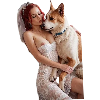 Video sticker 🐶 Zoo :: @fStikBot