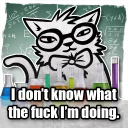 Video sticker 🔬 Zuzu the Cat