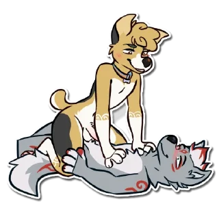 Video sticker 👇 wolfy and corgo
