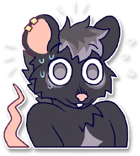 Video sticker 😅 maso is rat