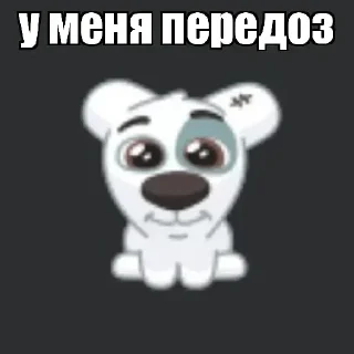Video sticker 🐒 Спотти плохо • @TgStickery