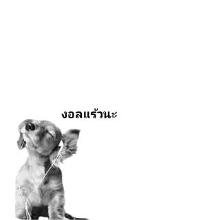 Video sticker 🐶 กลุ่มพี่run