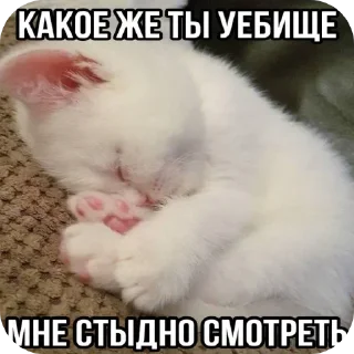 Sticker 🐱 Больше стиков тут: @stikery4