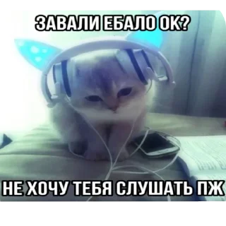 Video sticker 🐱 Больше стиков тут: @stikery4