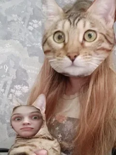 Telegram sticker 😸 Виктория 😎 :: @vika32288 :: @fStikBot