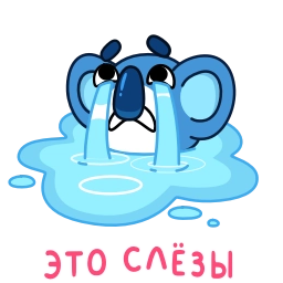 Telegram sticker 😭 Коала | @Premium_Stikers