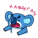 Video sticker 🤬 Коала | @Premium_Stikers