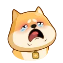 Telegram stiker 😭 Akio  @TgSticker