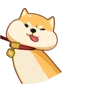 Telegram stiker 🤪 Akio  @TgSticker