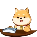 Video sticker 📃 Akio  @TgSticker