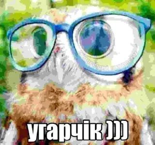 Telegram sticker ⭐️ говна наверни @Moistick_bot
