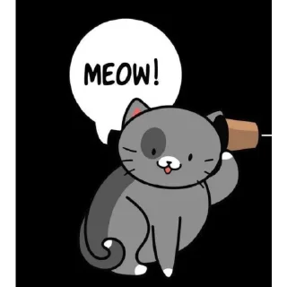 Video sticker 🌺 ️🙂 @digianti13bot