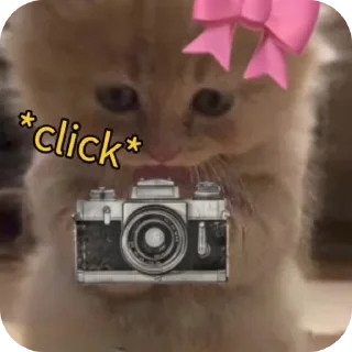 Sticker 🐱 Jigllypuff✨💗