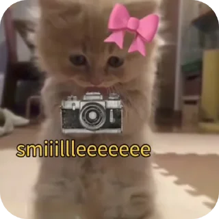 Телеграм стикер 🐱 Jigllypuff✨💗