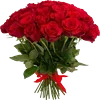 Video sticker 💐 Red ➜ @emodzisti...
