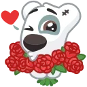 Video sticker 💐 Red ➜ @emodzisti...