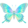 Video sticker 🦋 Freshness @katener...