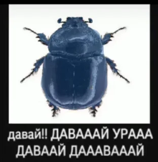 Video sticker 😏 Уйду в монастырь, стану монашкой