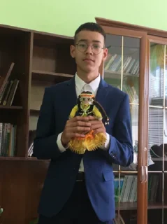 Video sticker 🤢 любимки