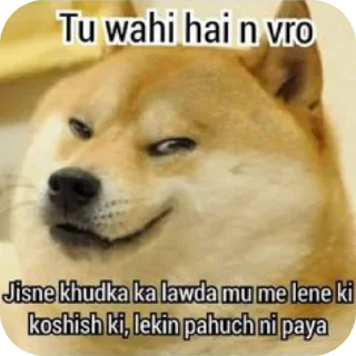 Telegram sticker 🐶 Funny