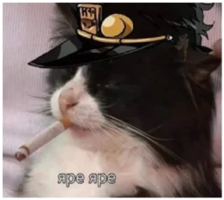Video sticker 🚭 ЯреЯреДазе