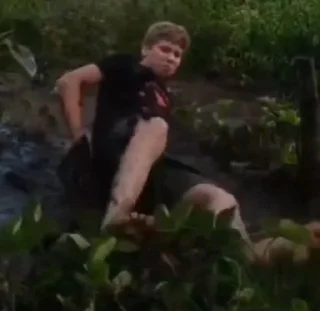 Video sticker 🌟 biznesstickers :: @fStikBot